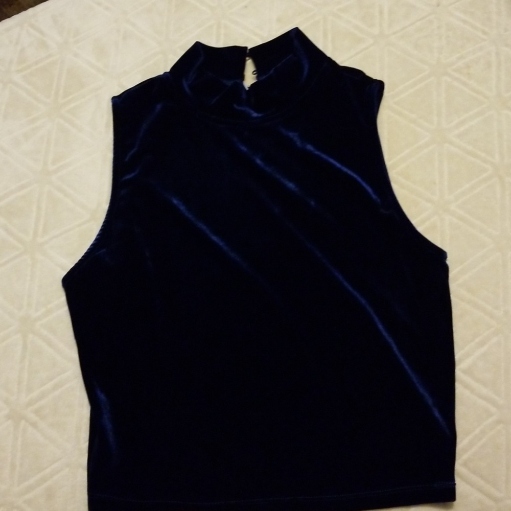 Velvet Blue Crop Top